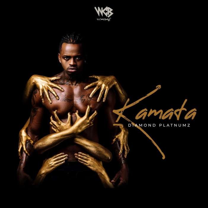 Diamond Platnumz Kamata Lyrics