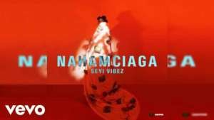 Different Pattern - Seyi Vibez