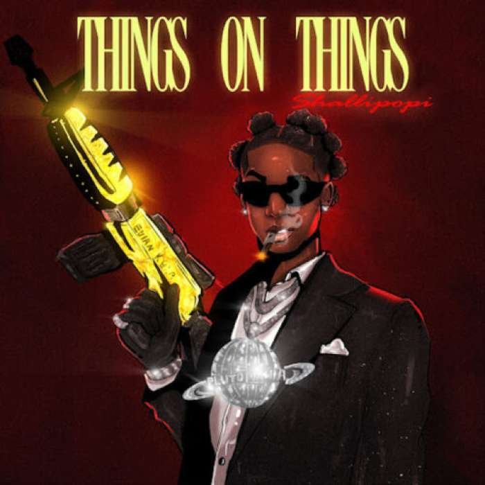 Shallipopi Things On Things