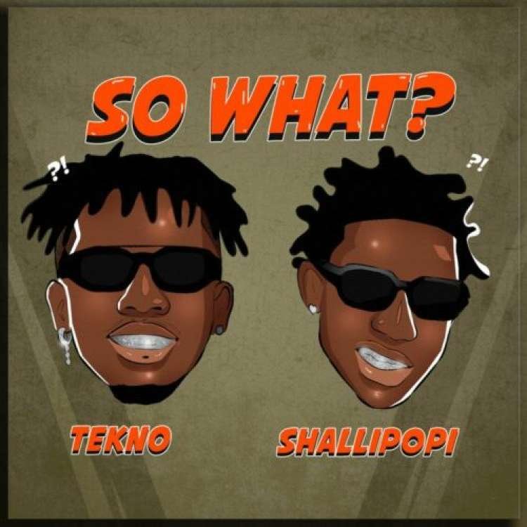 Tekno Shallipopi