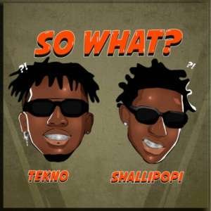 Tekno ft. Shallipopi - So What?