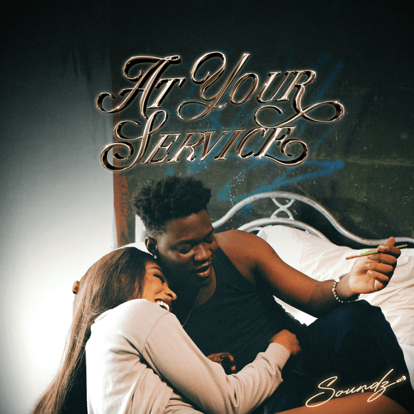 Cover Art For At Your Service by Soundz