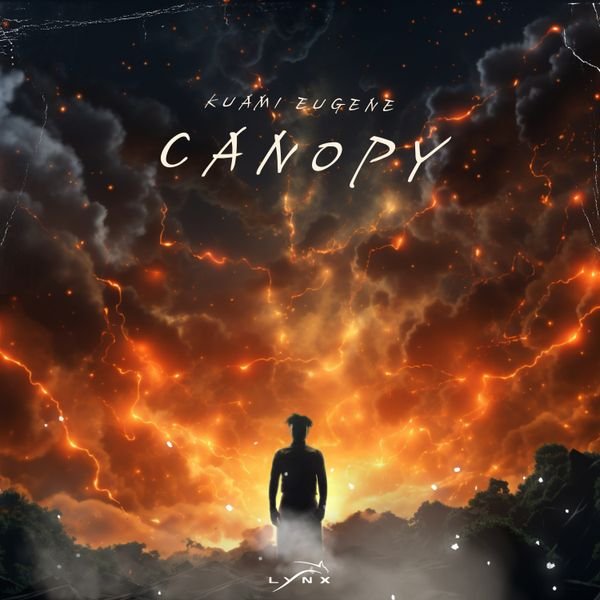 Cover art for Canopy by Kuami Eugene