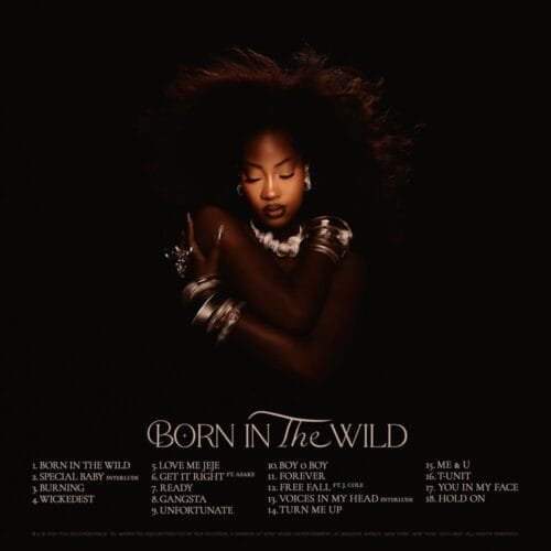 Tems Born in the Wild Album Tracklist